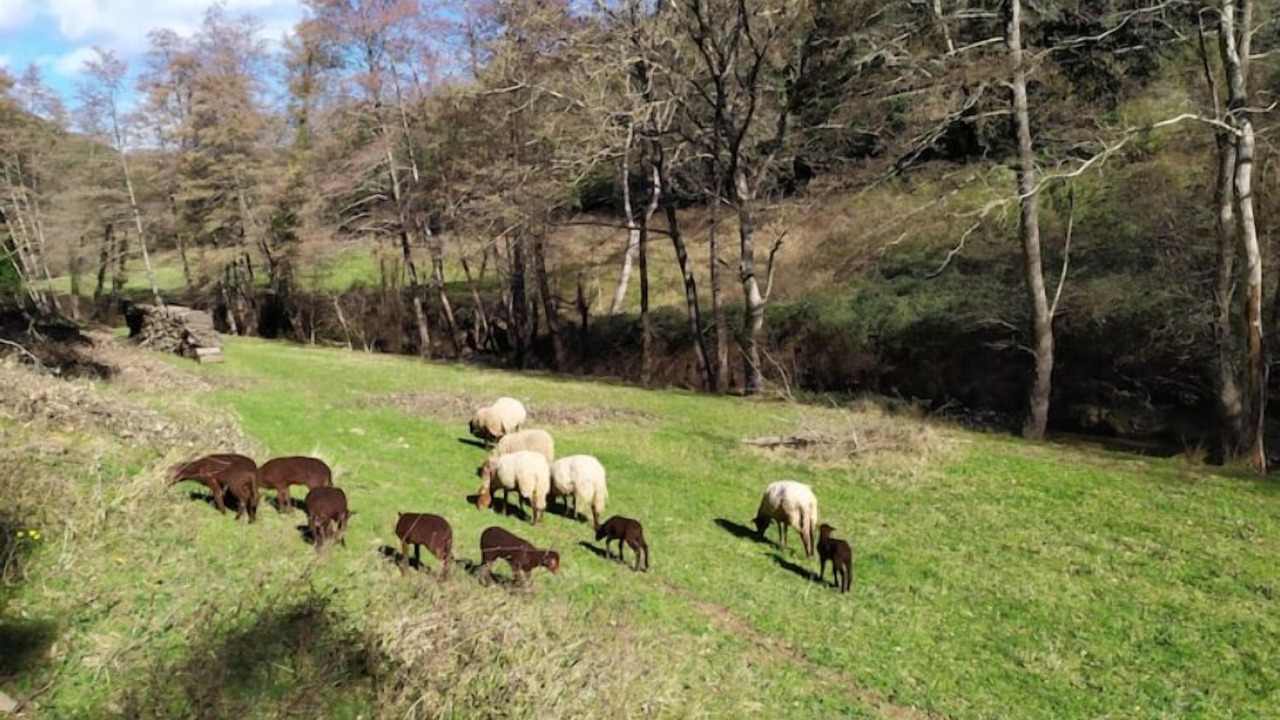 Photo of Outdoor in Cros
