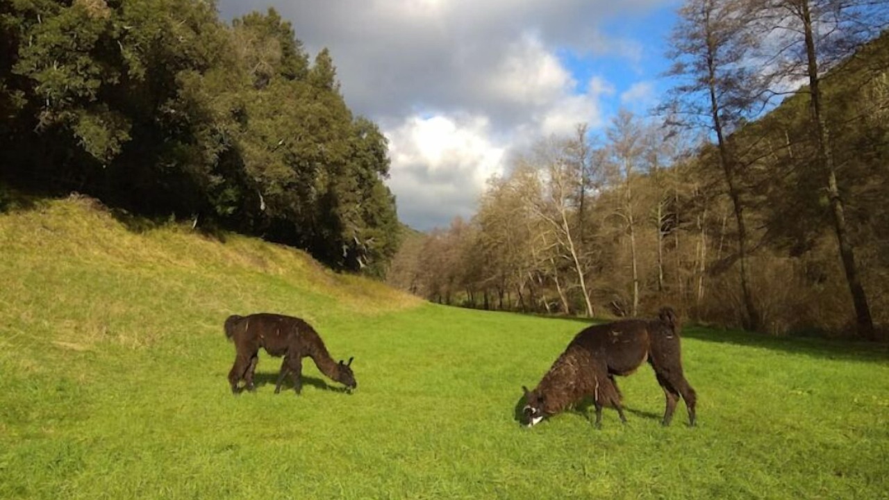 Photo of Outdoor in Cros