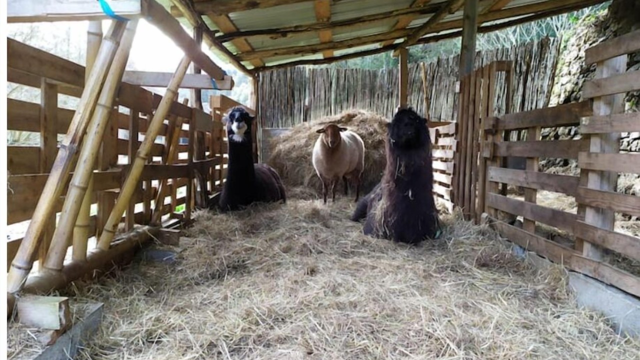 Photo of Others in Cros