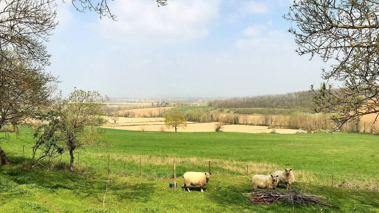 Photo of Others in Peyrole