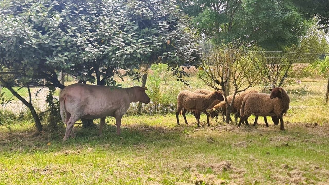 Photo of Others in Peyrole