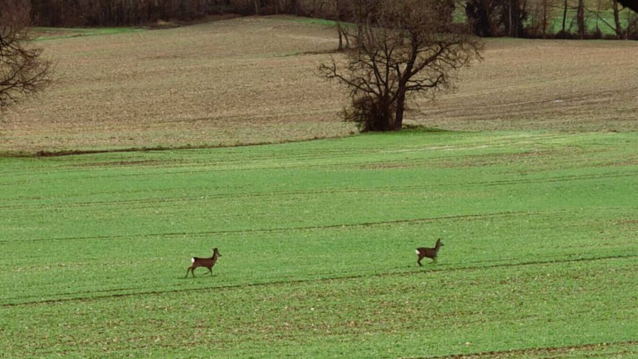 Photo of Others in Peyrole