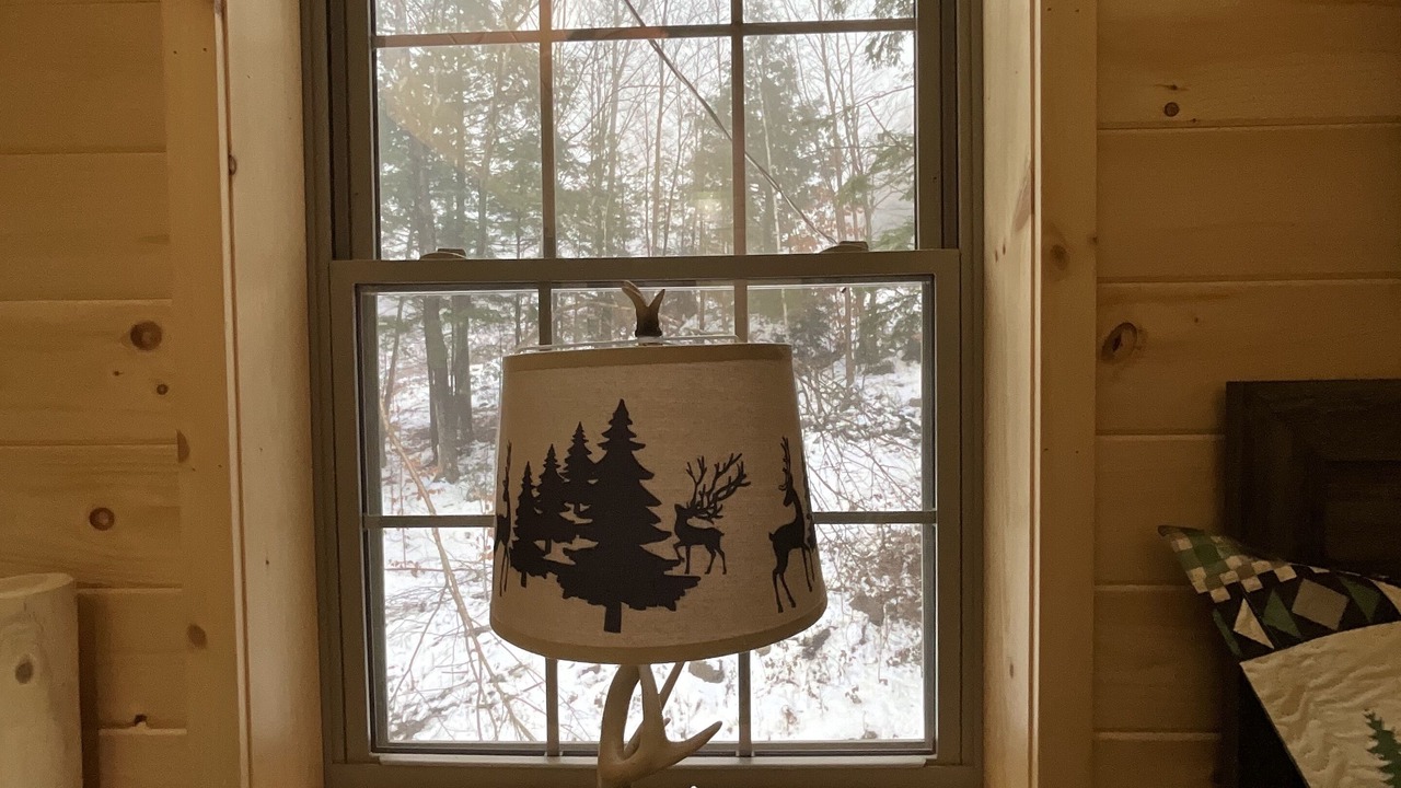 Photo of Others in Alexandria