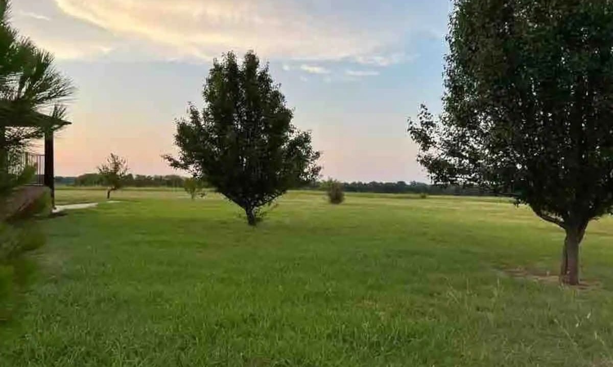 Photo of Outdoor in Gober