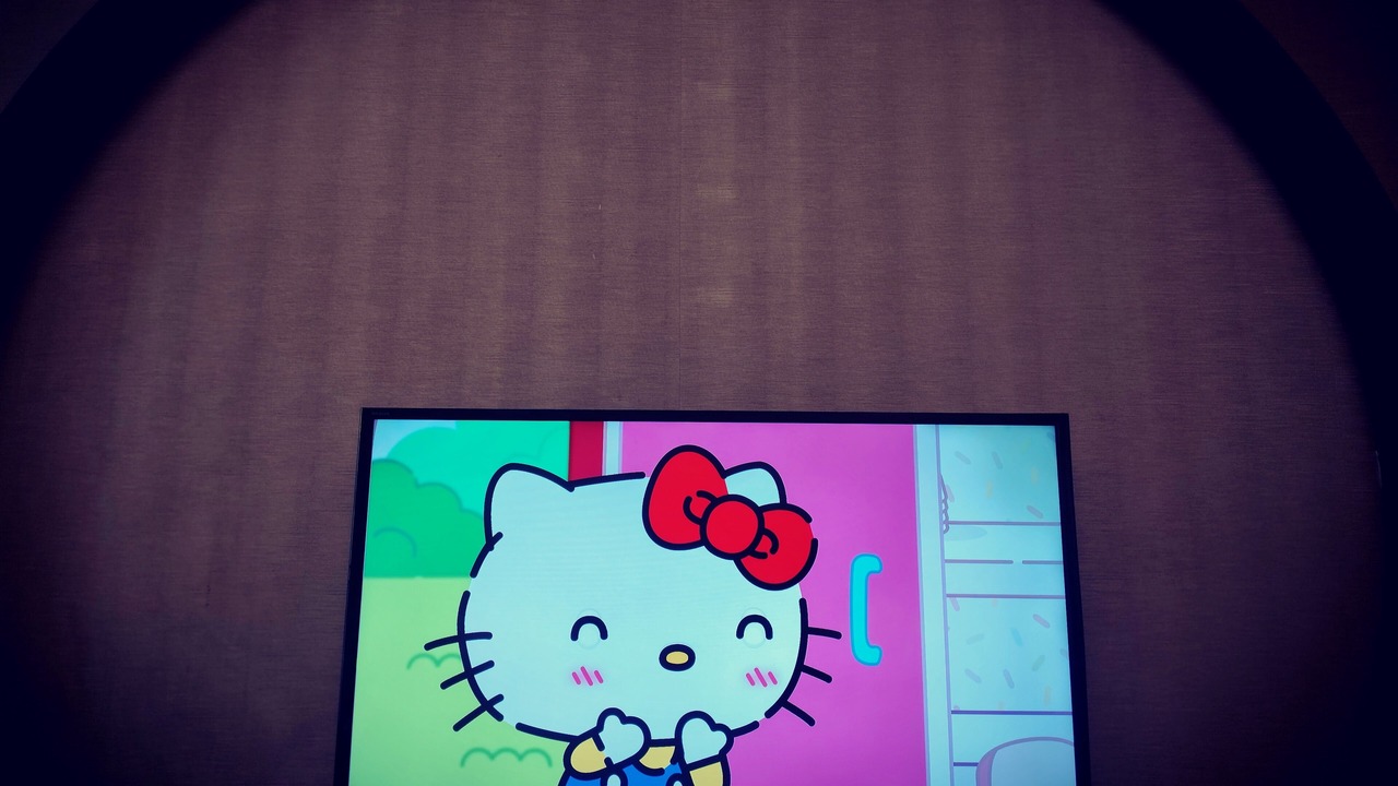 Photo of Others in Malacca City