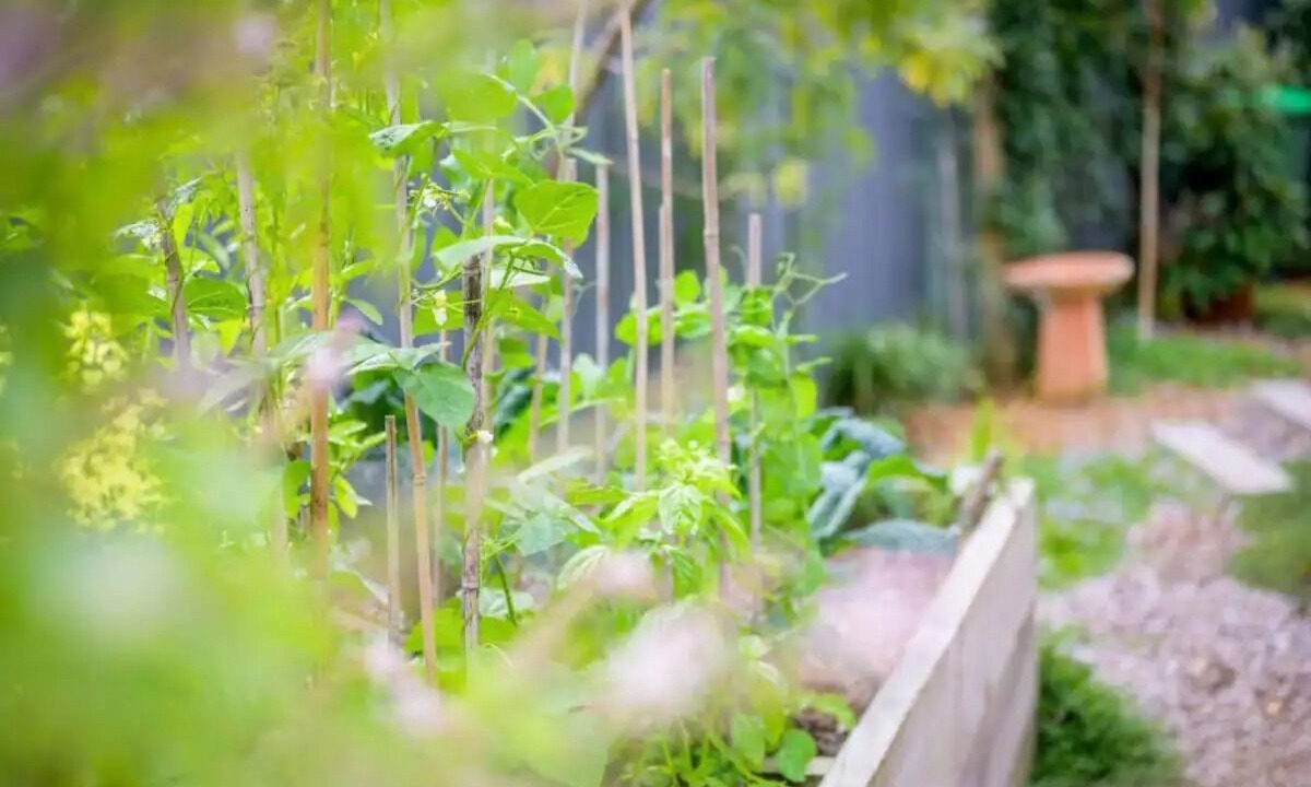 Photo of Outdoor in Macmasters Beach