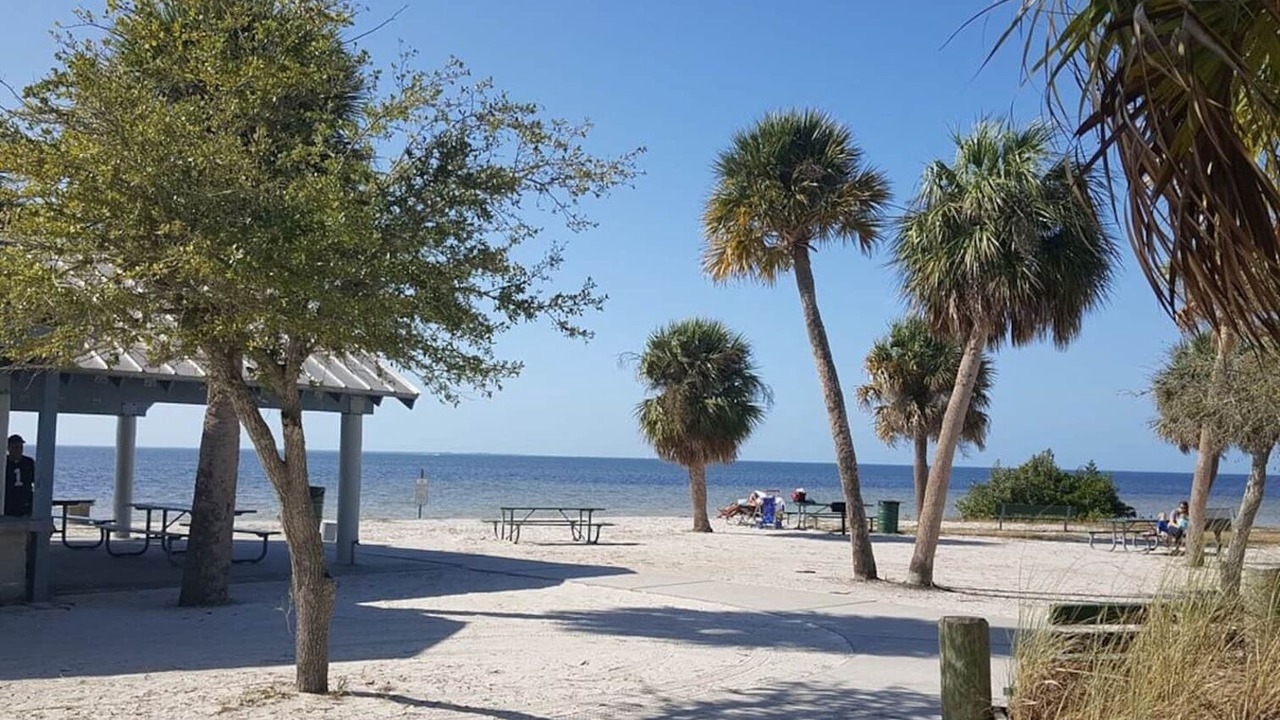 Photo of Others in New Port Richey