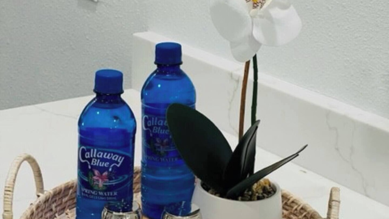 Photo of Bathroom in New Port Richey