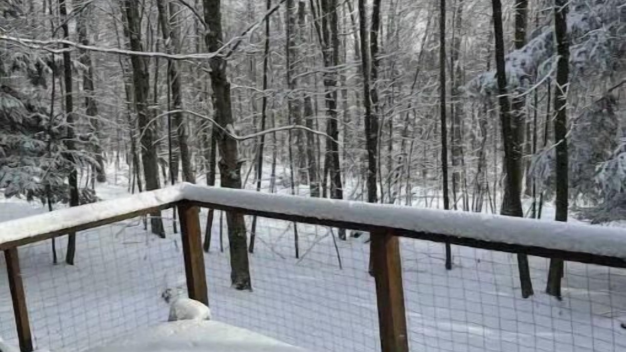 Photo of Outdoor in Russell