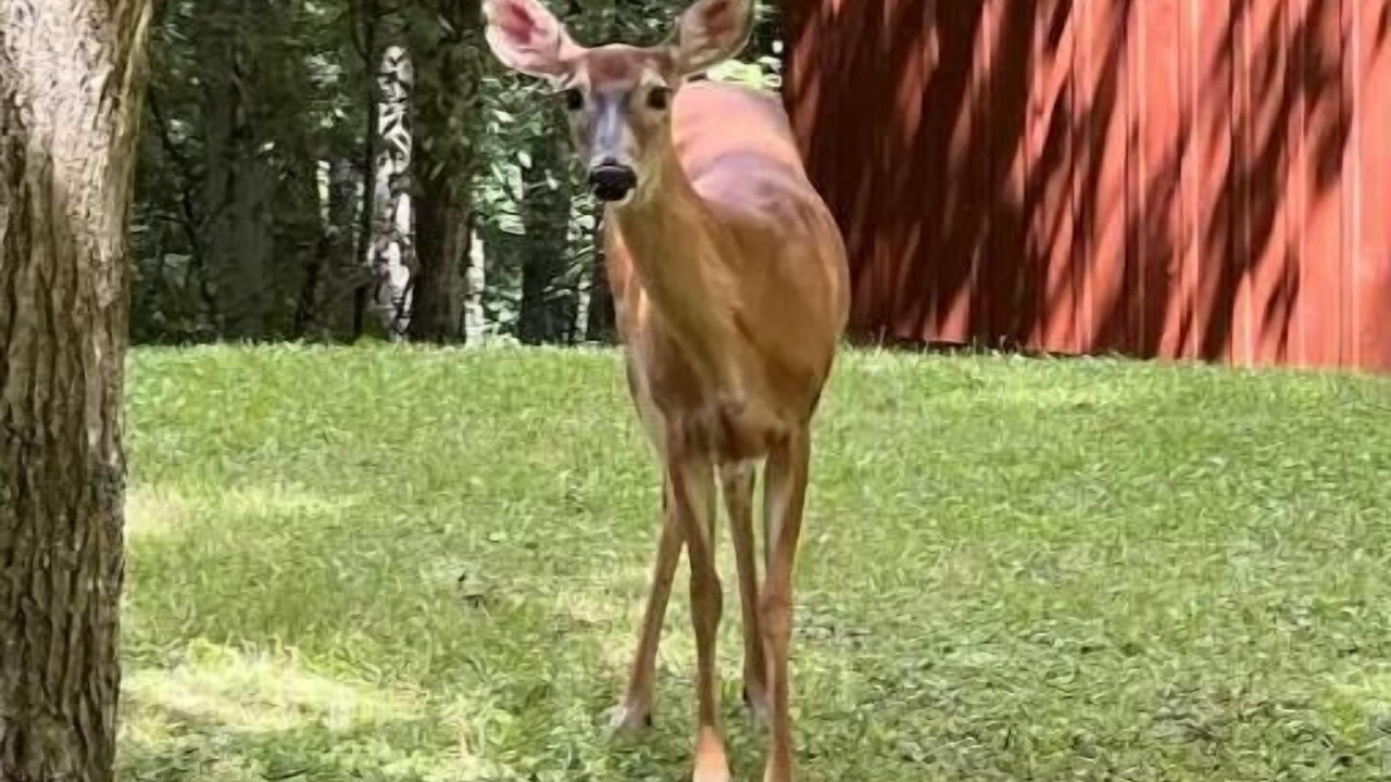 Photo of Outdoor in Russell