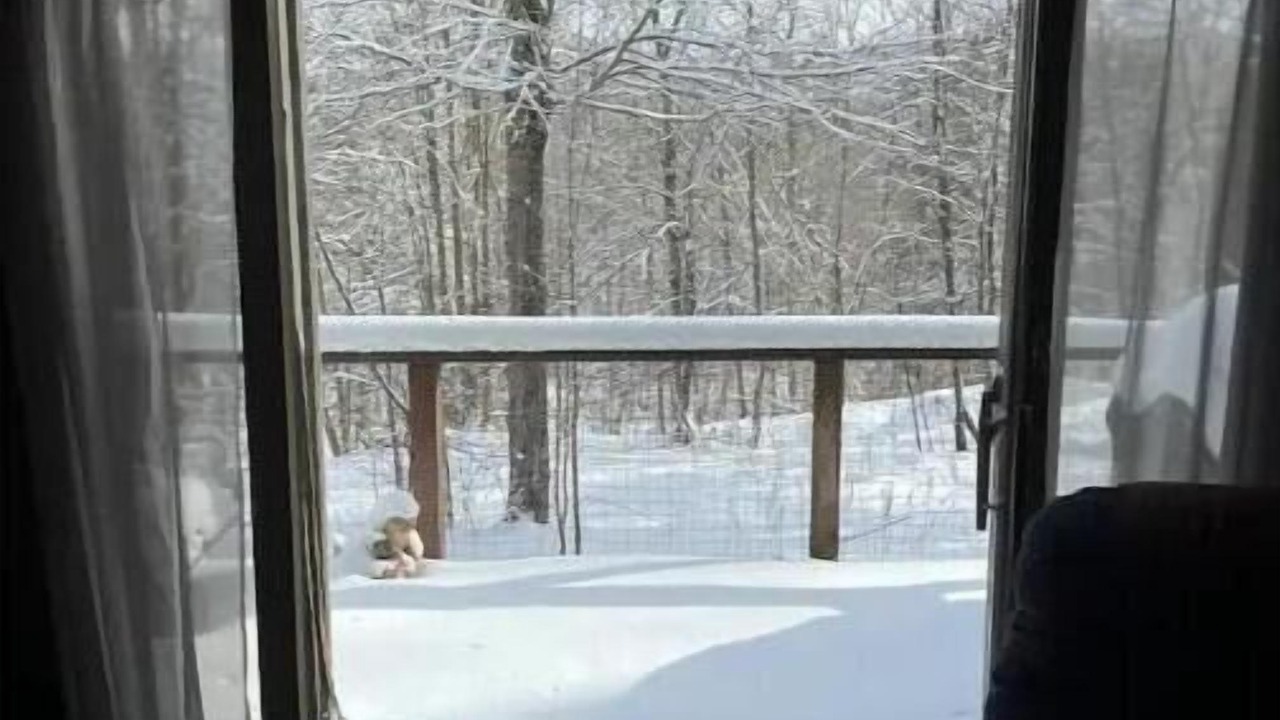 Photo of Others in Russell