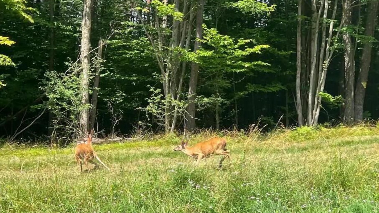 Photo of Outdoor in Russell