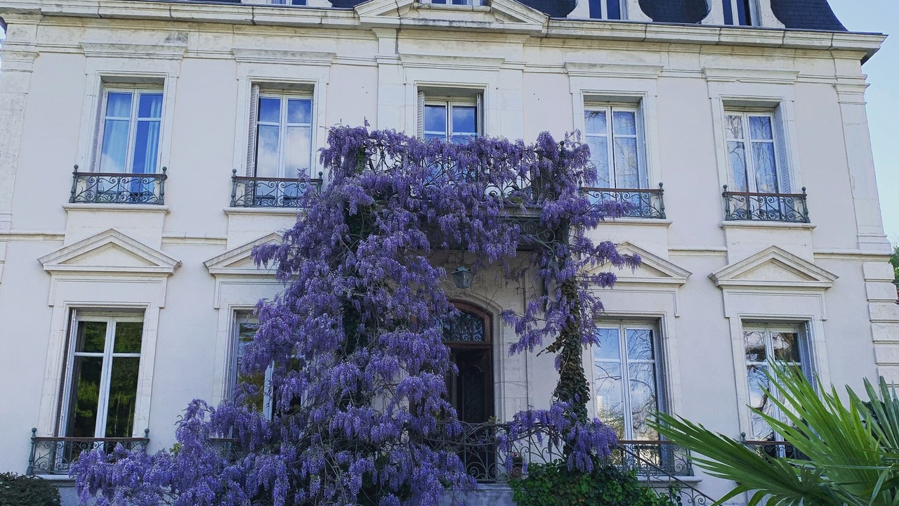 Photo of Outdoor in Collonges-au-Mont-d'Or