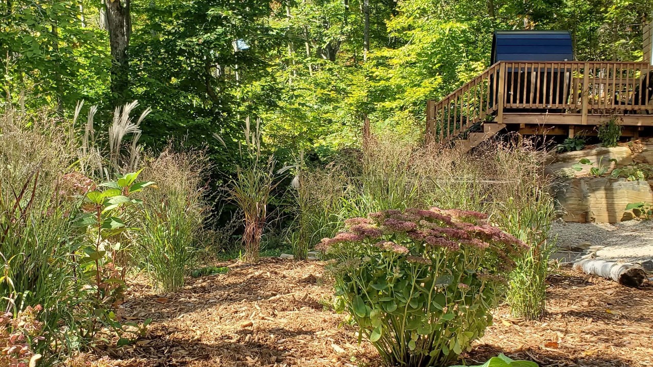 Photo of Outdoor in Sainte-Beatrix