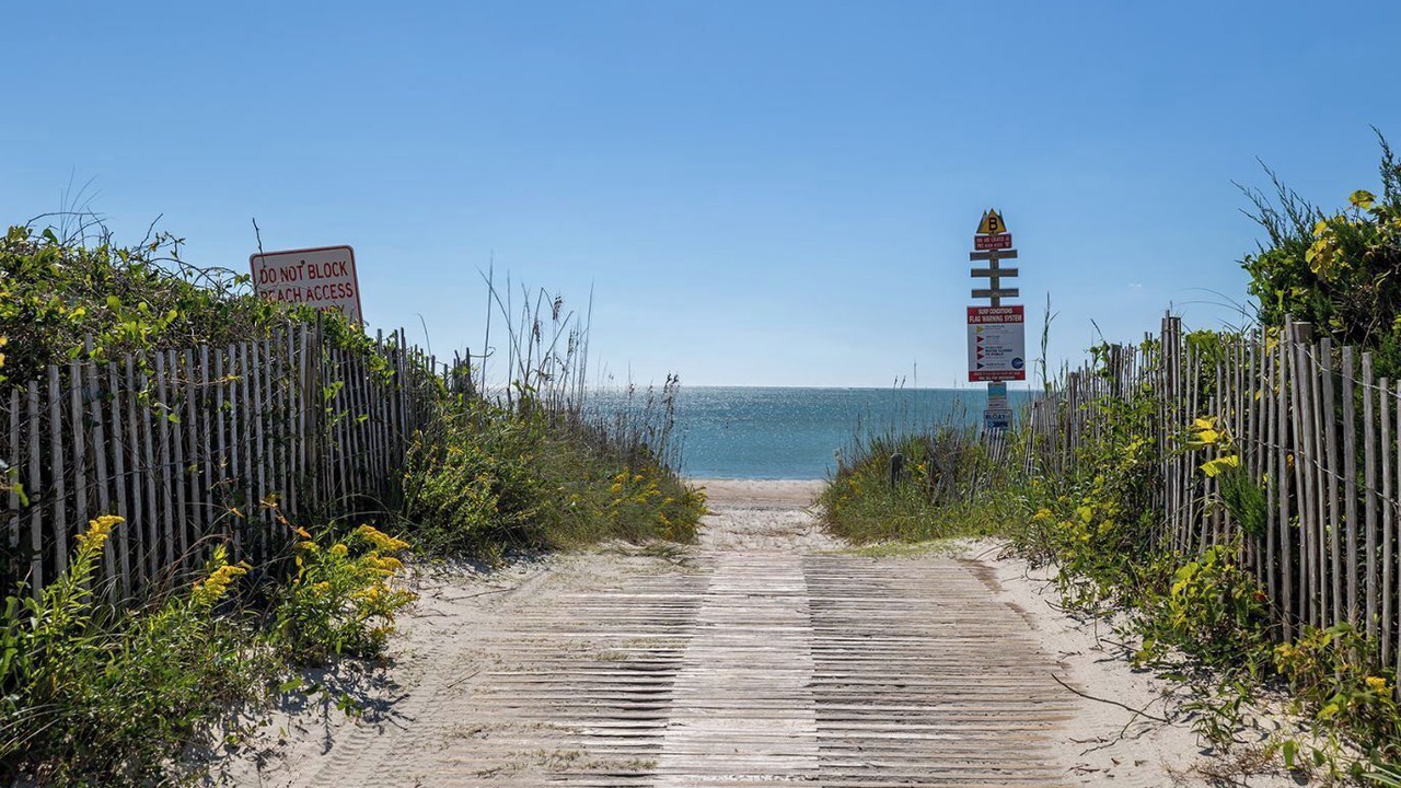Photo of Others in Pine Knoll Shores