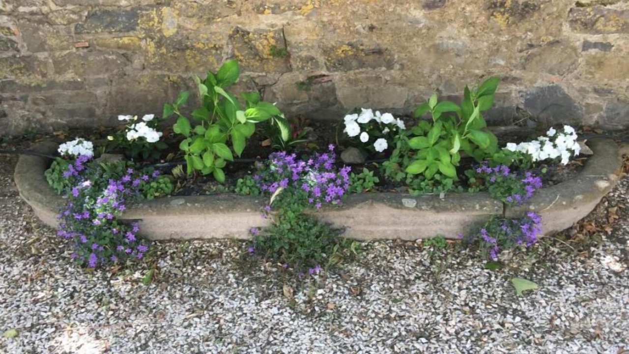 Photo of Outdoor in Montlaur