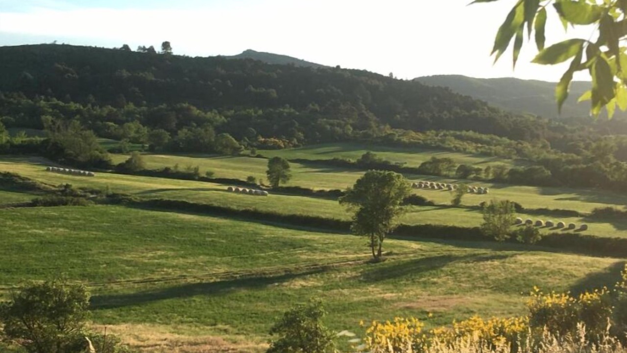 Photo of Others in Montlaur