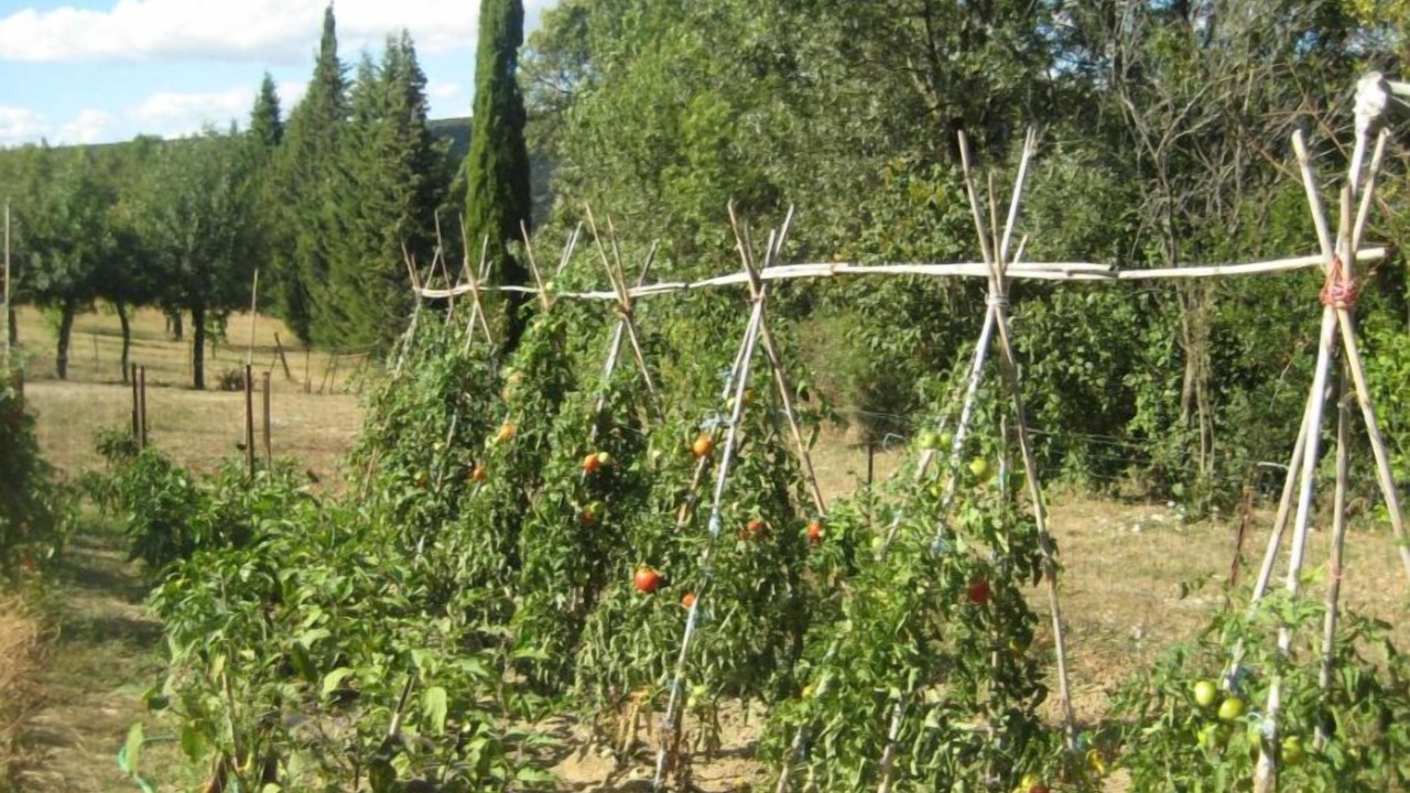 Photo of Outdoor in Montlaur