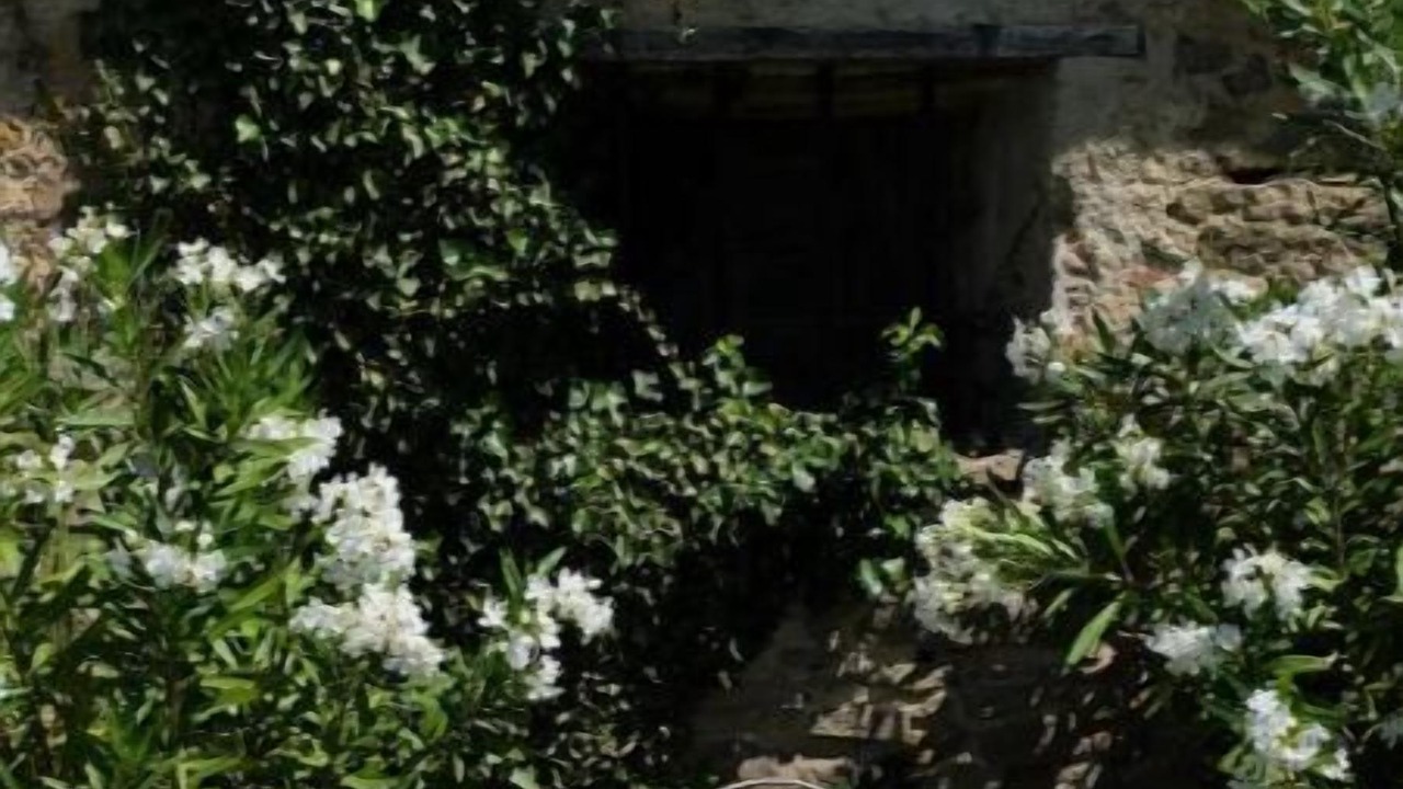 Photo of Outdoor in Montlaur