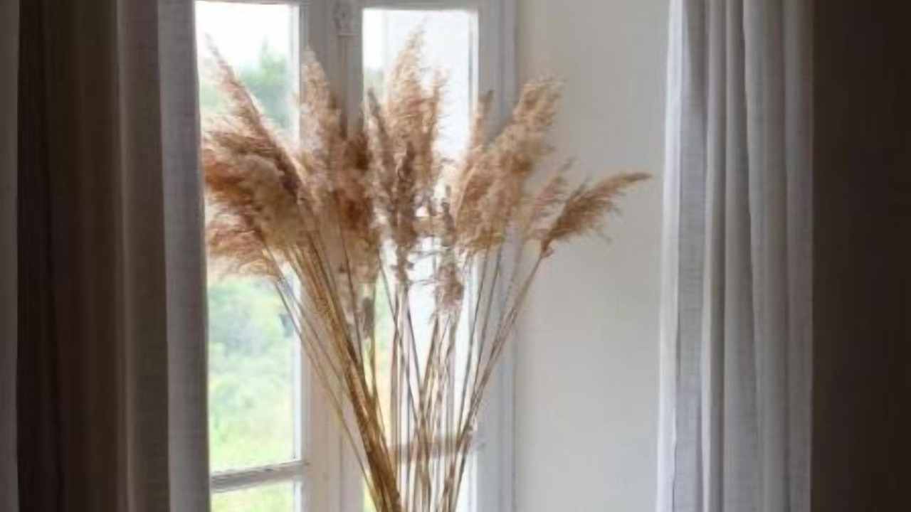 Photo of Others in Montlaur