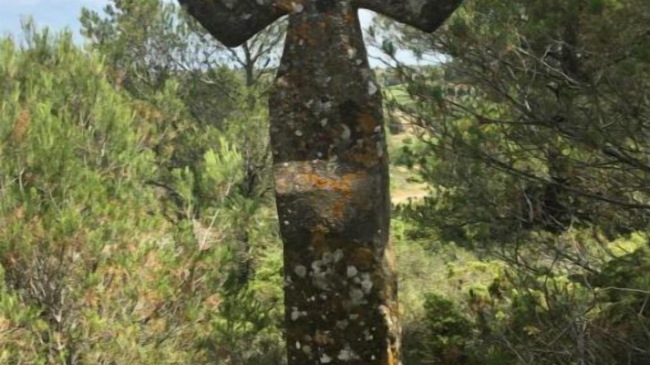 Photo of Others in Montlaur