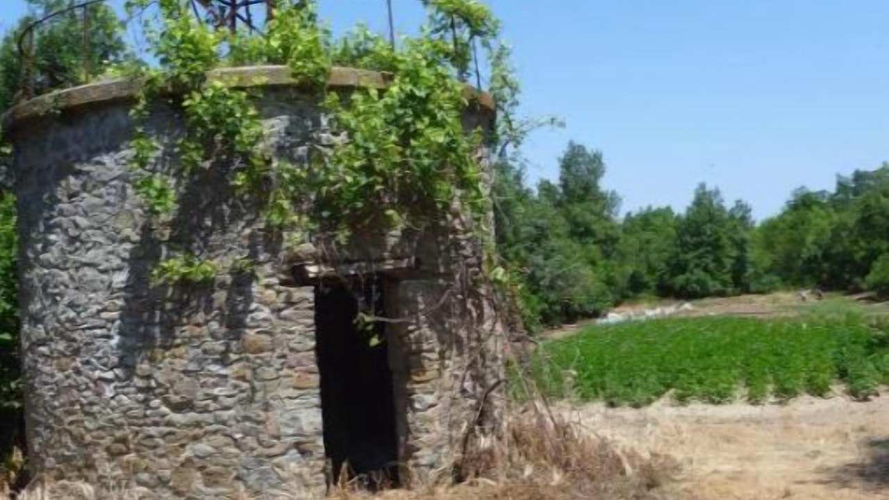 Photo of Others in Montlaur