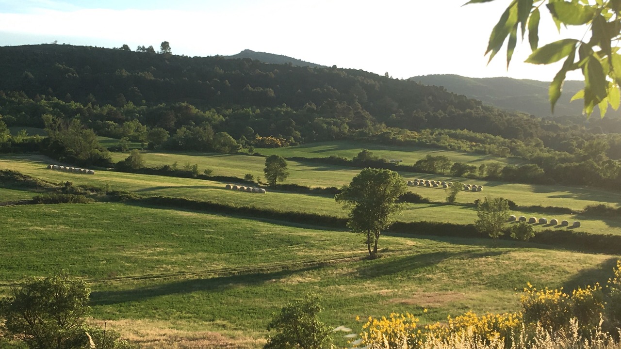 Photo of Others in Montlaur