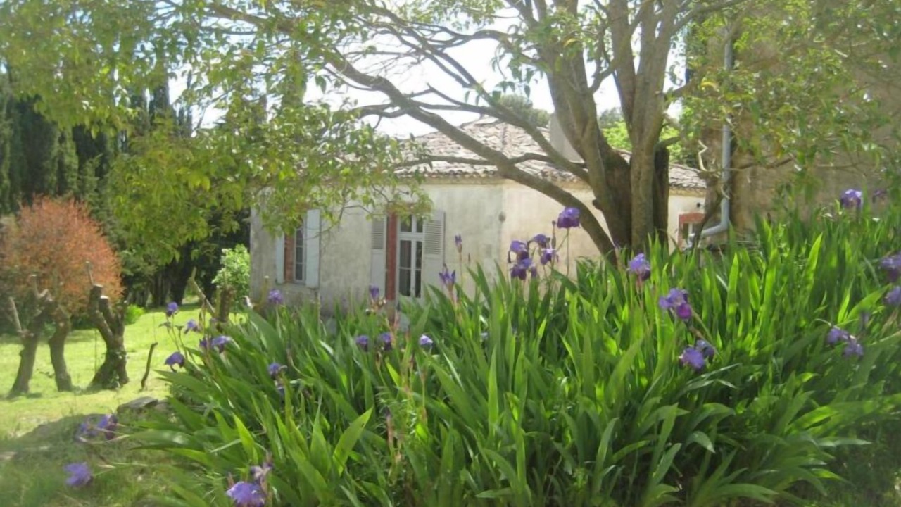 Photo of Outdoor in Montlaur