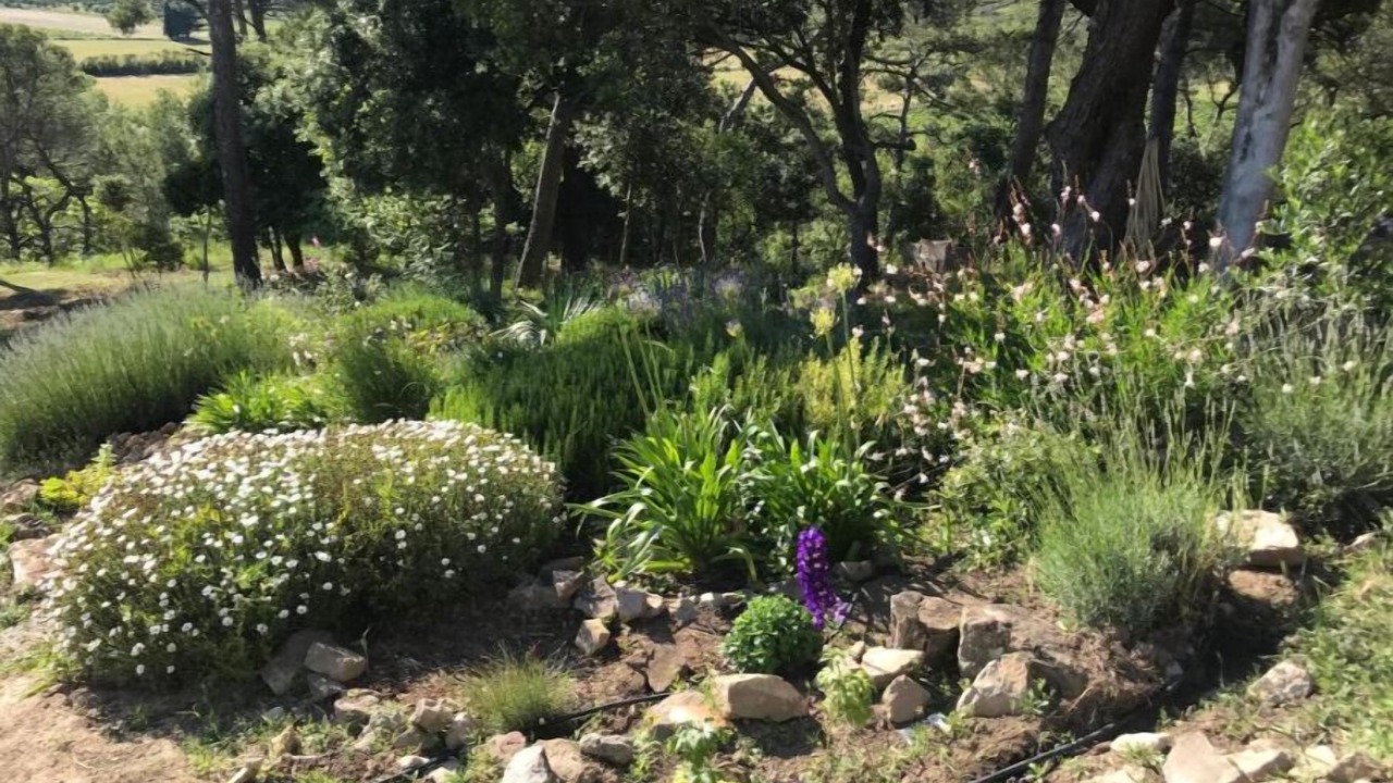 Photo of Outdoor in Montlaur