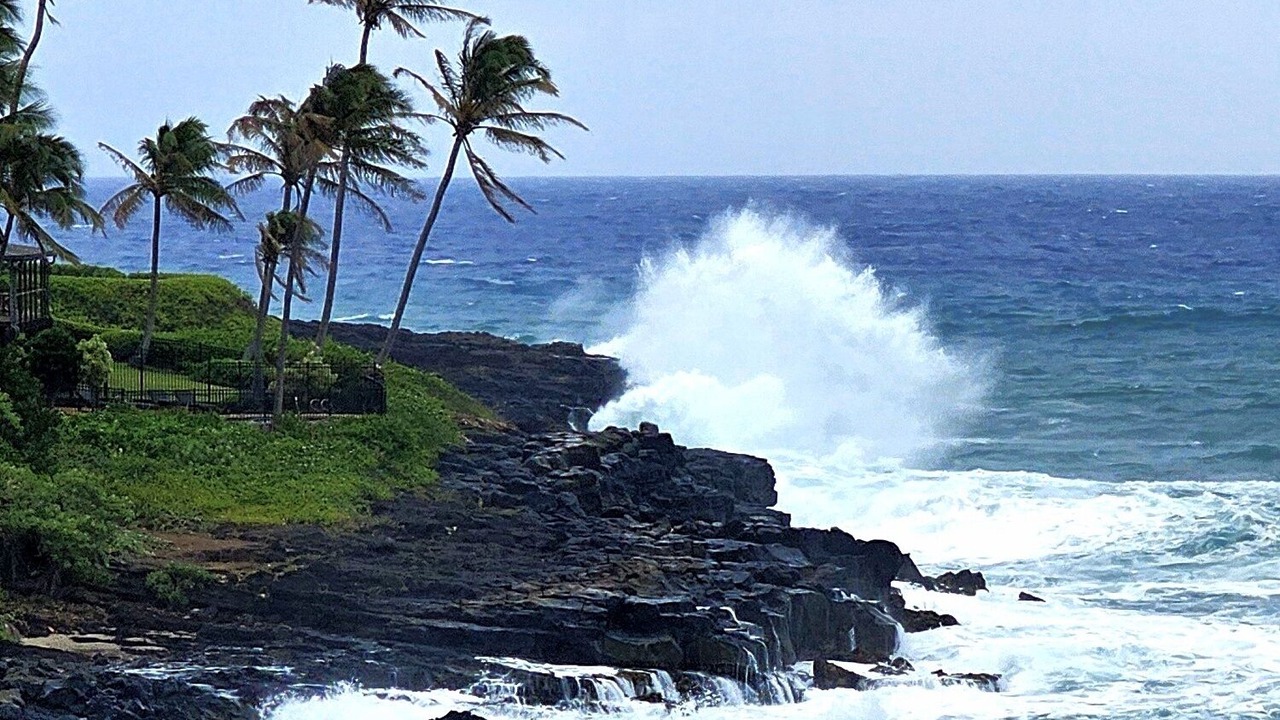 Photo of Bedroom in Poipu