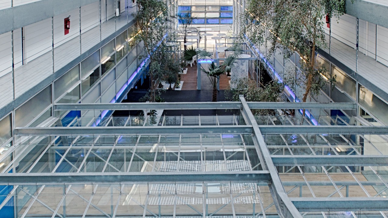 Photo of Others in Dax