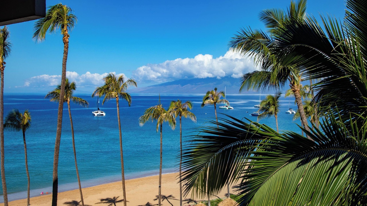 Photo of Outdoor in Kaanapali