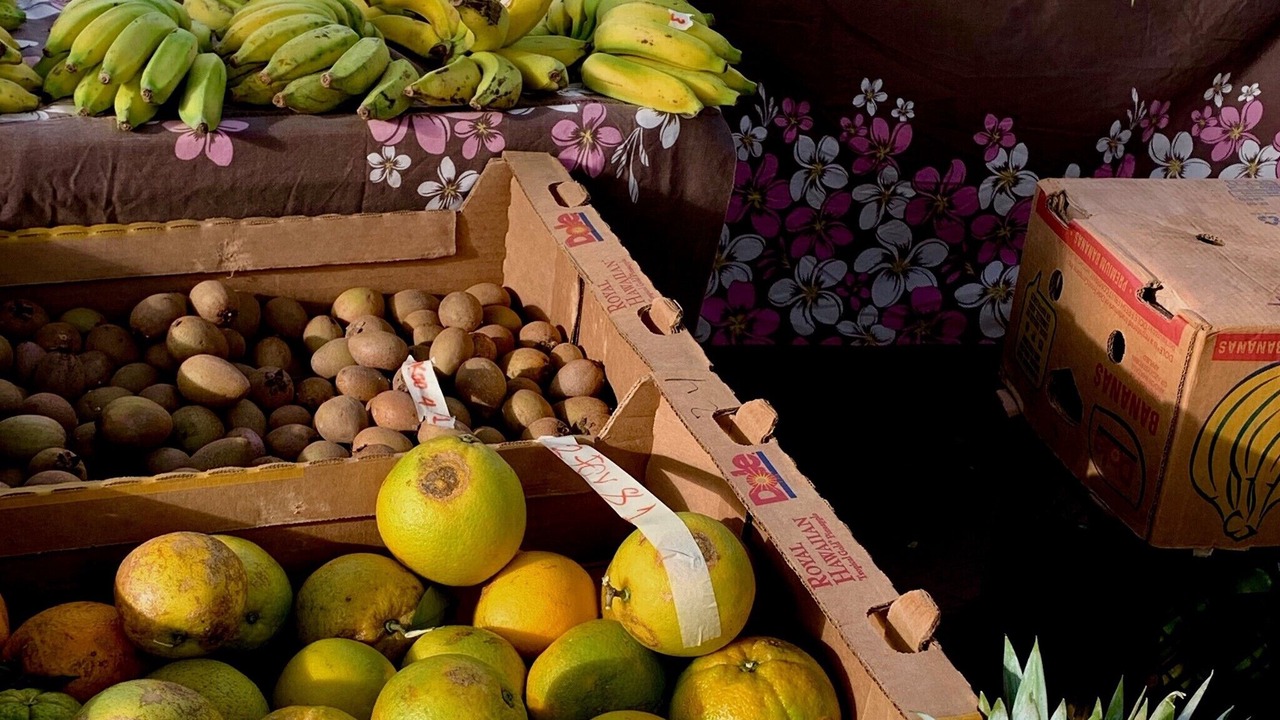 Photo of Others in Poipu