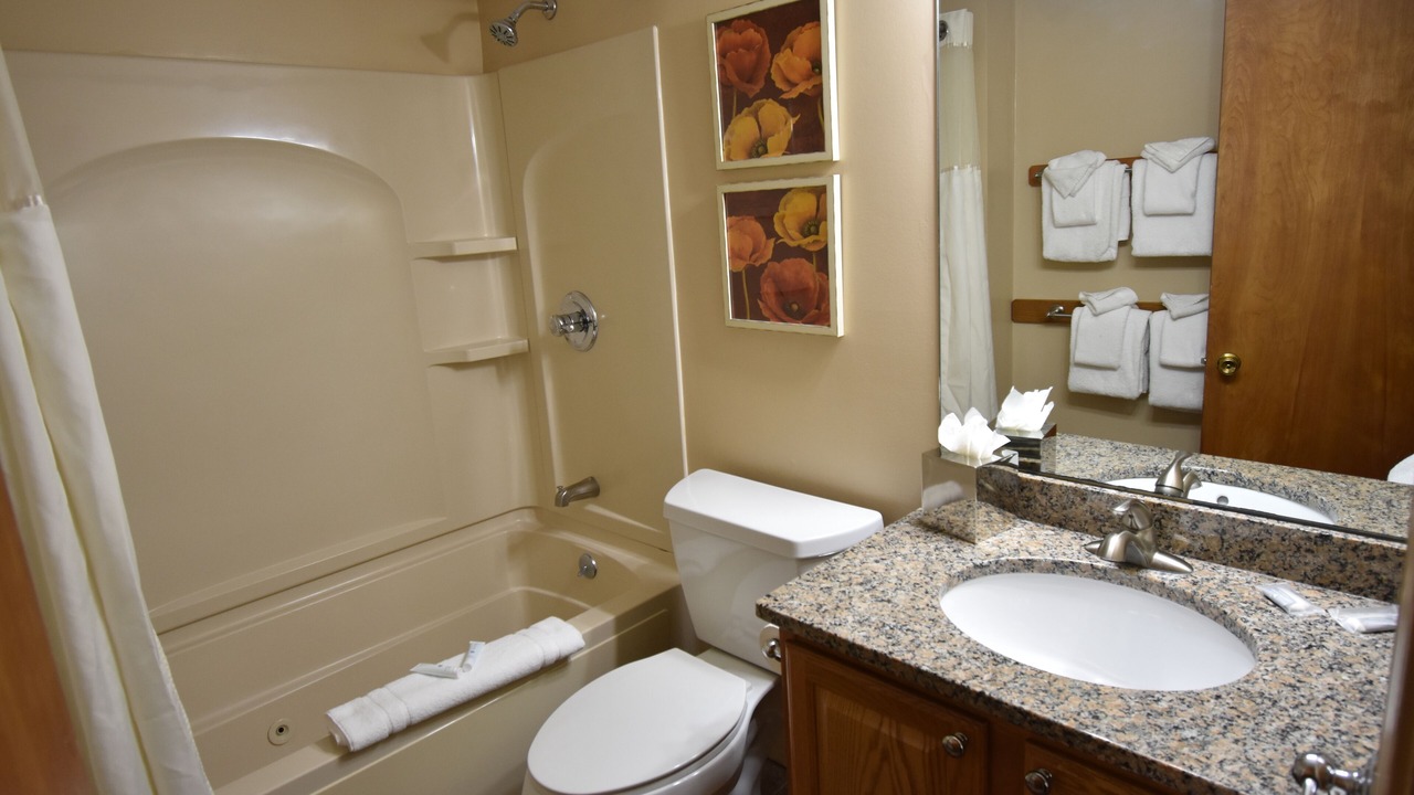 Photo of Bathroom in Bartlett