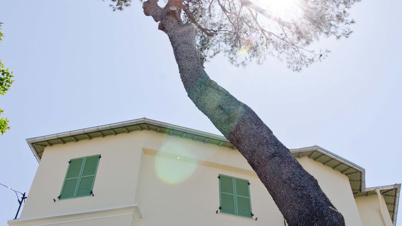 Photo of Outdoor in Juan-les-Pins