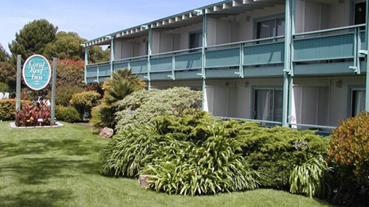 Photo of Outdoor in East End
