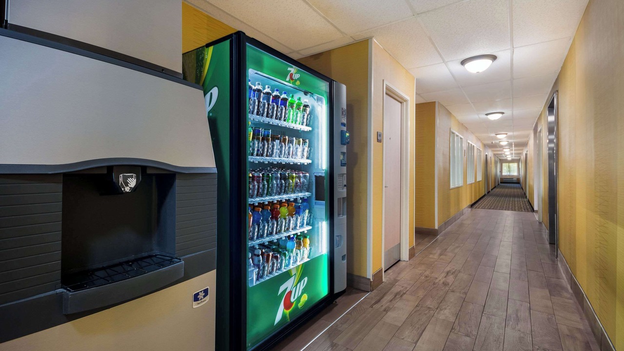 Photo of Others in Bozeman