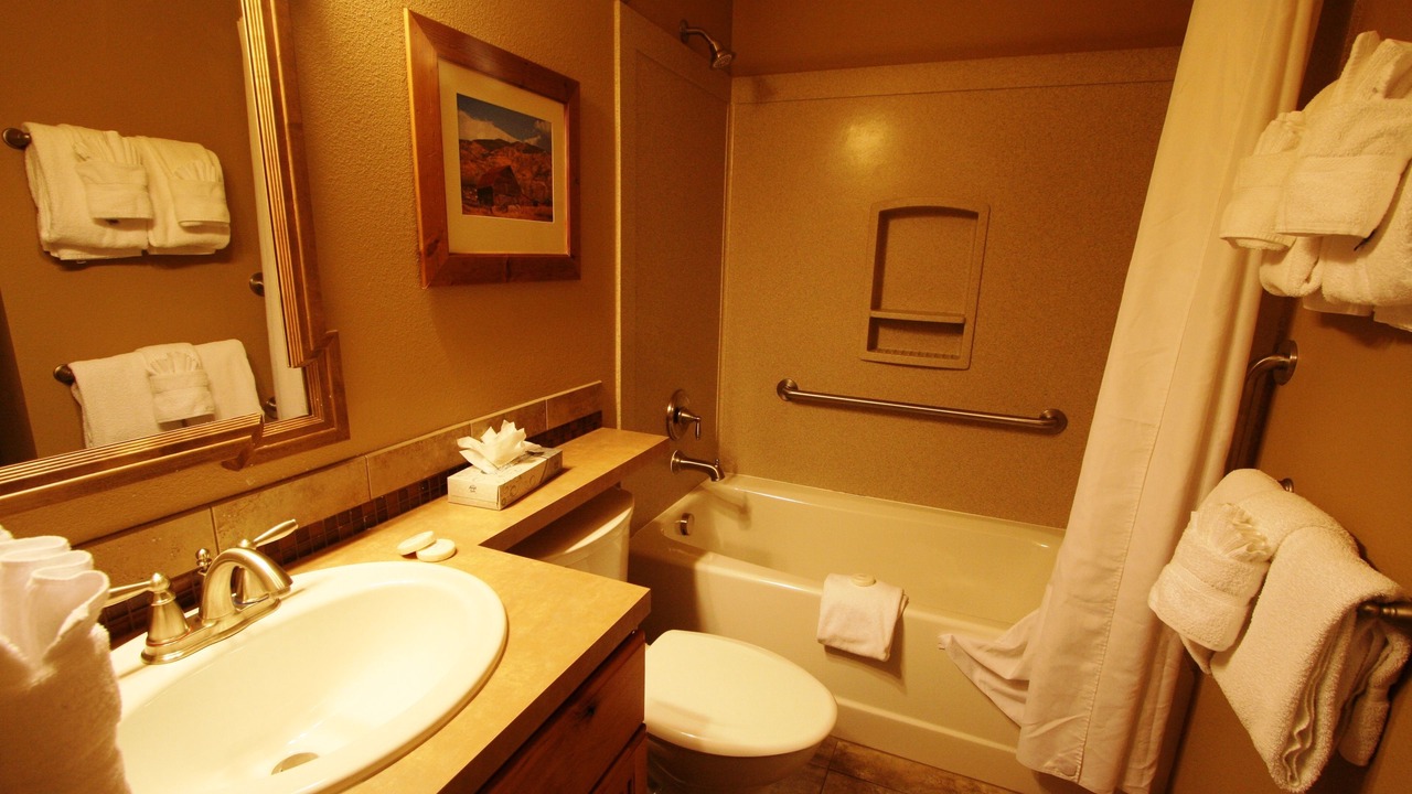 Photo of Bathroom in Steamboat Springs