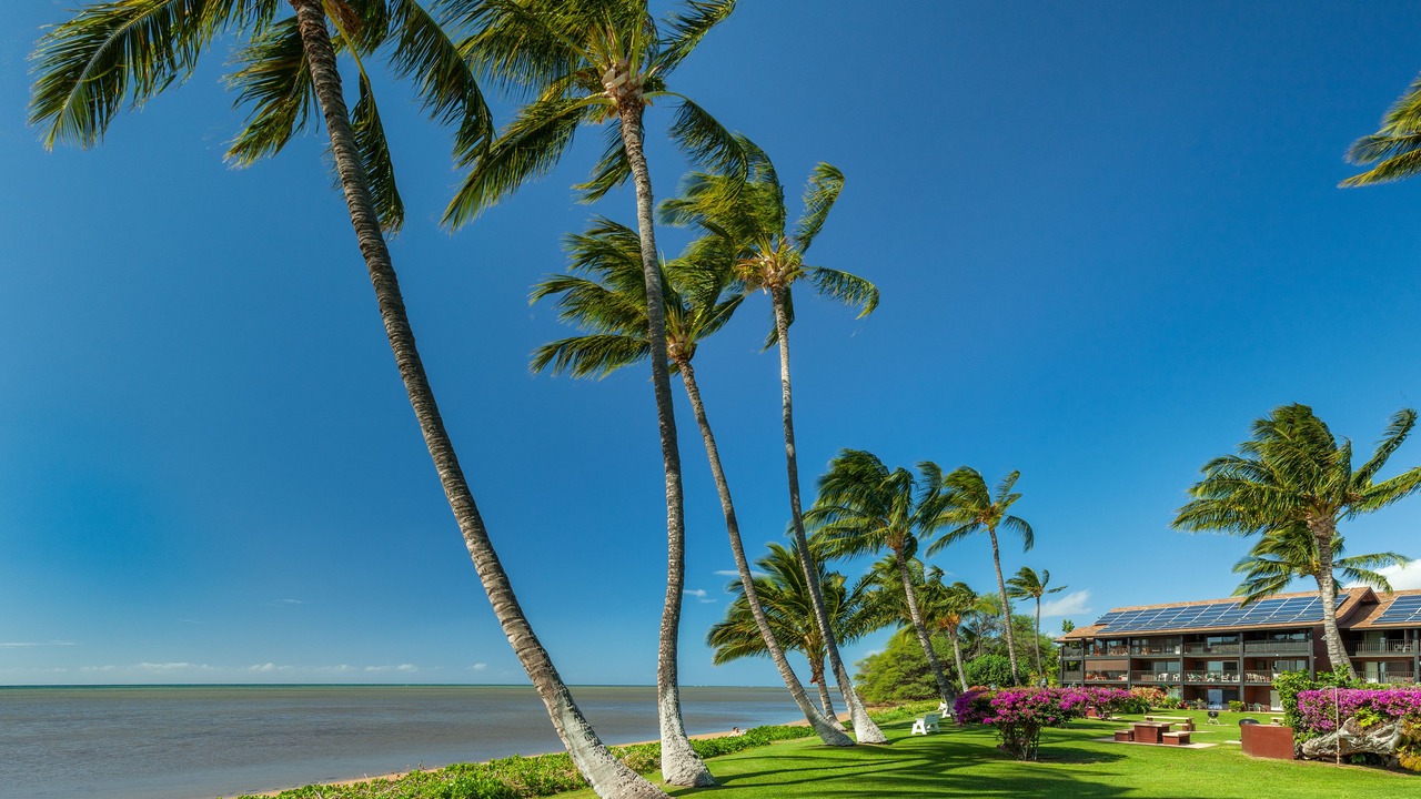 Photo of Others in Kaunakakai