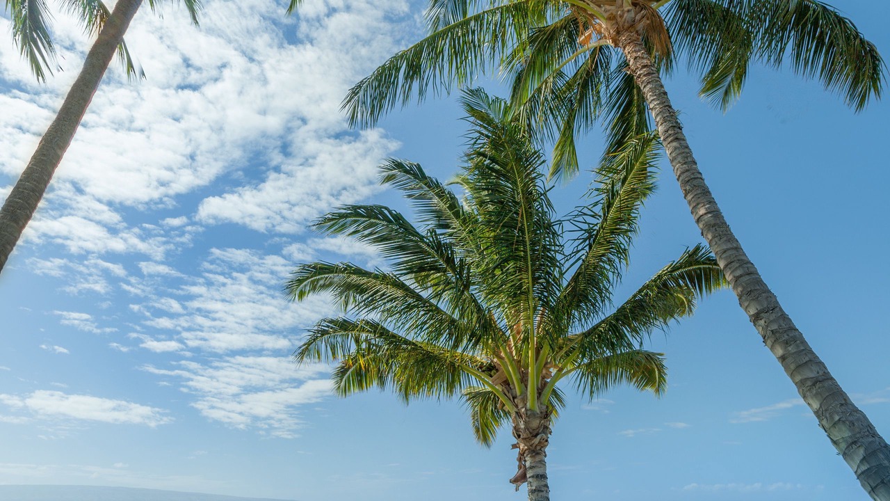Photo of Outdoor in Kaunakakai