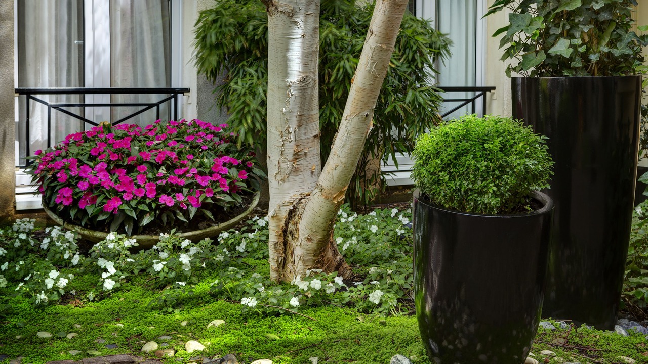 Photo of Outdoor in Quartier Sainte-Marguerite