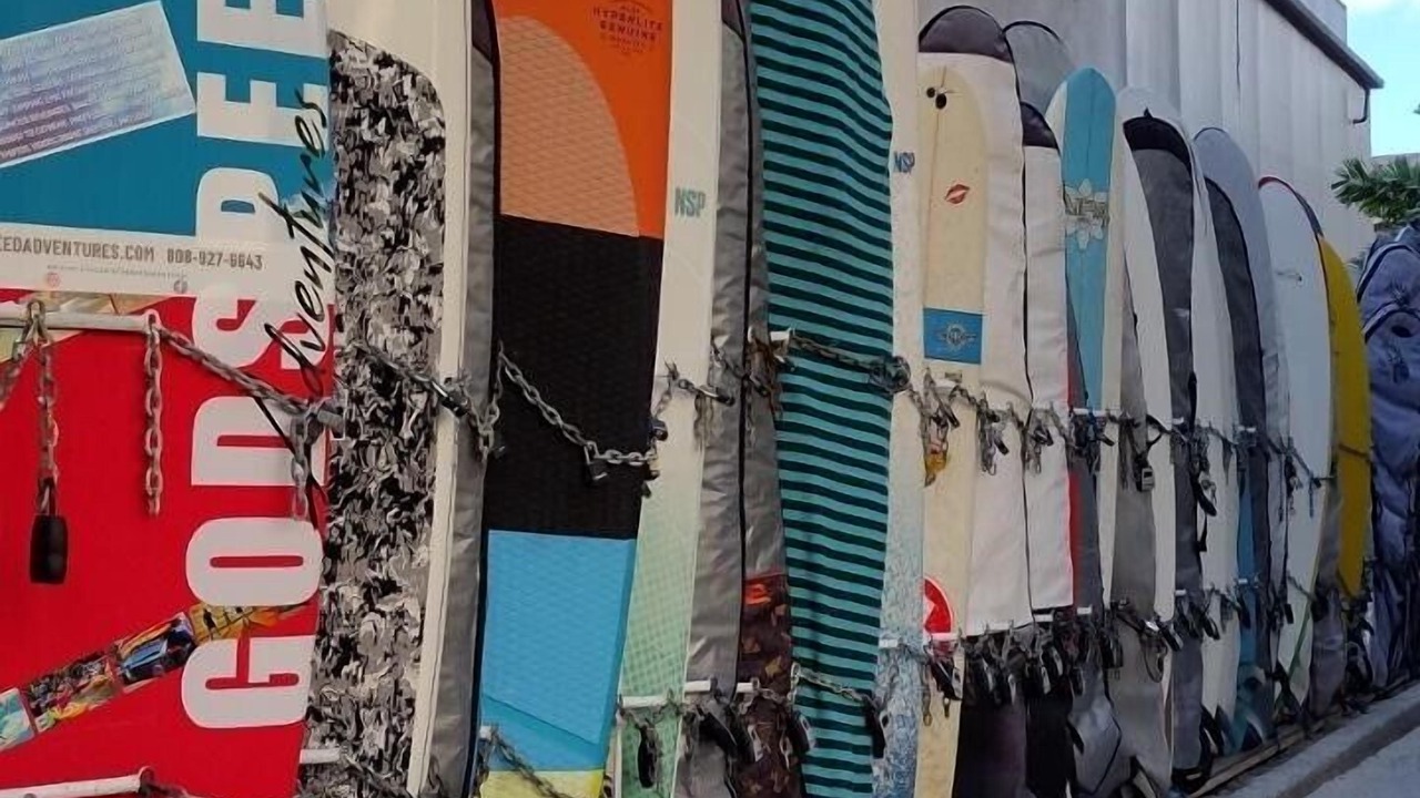 Photo of Others in Waikiki