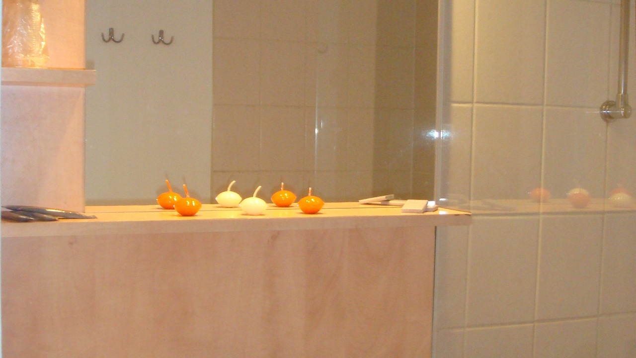 Photo of Bathroom in Gaillard