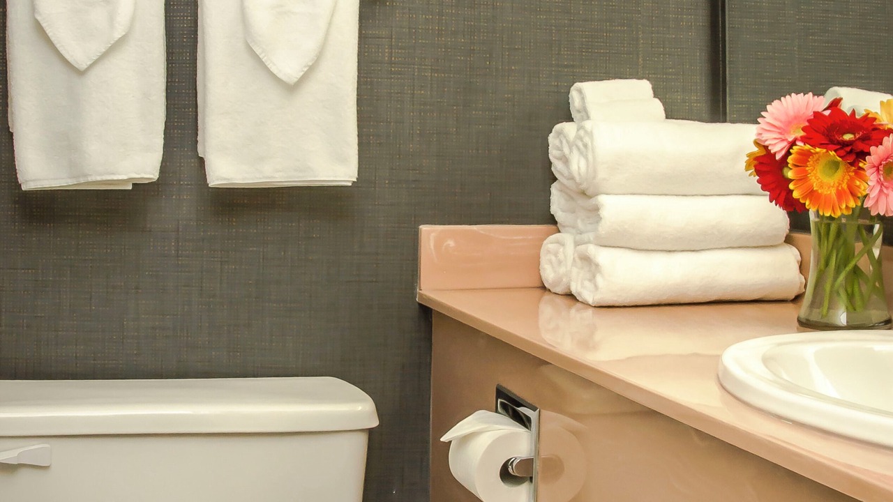 Photo of Bathroom in Golden Triangle