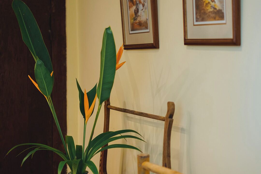 Photo of Bathroom in Nyuh Kuning