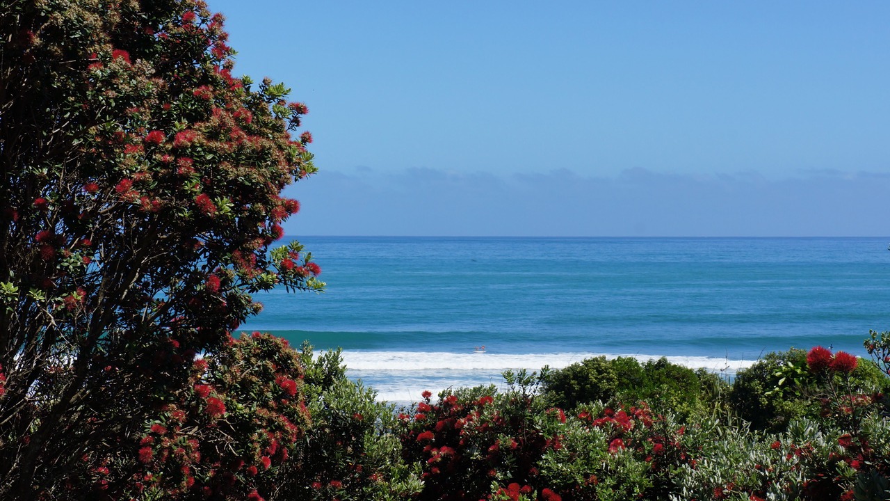 Photo of Others in Fitzroy