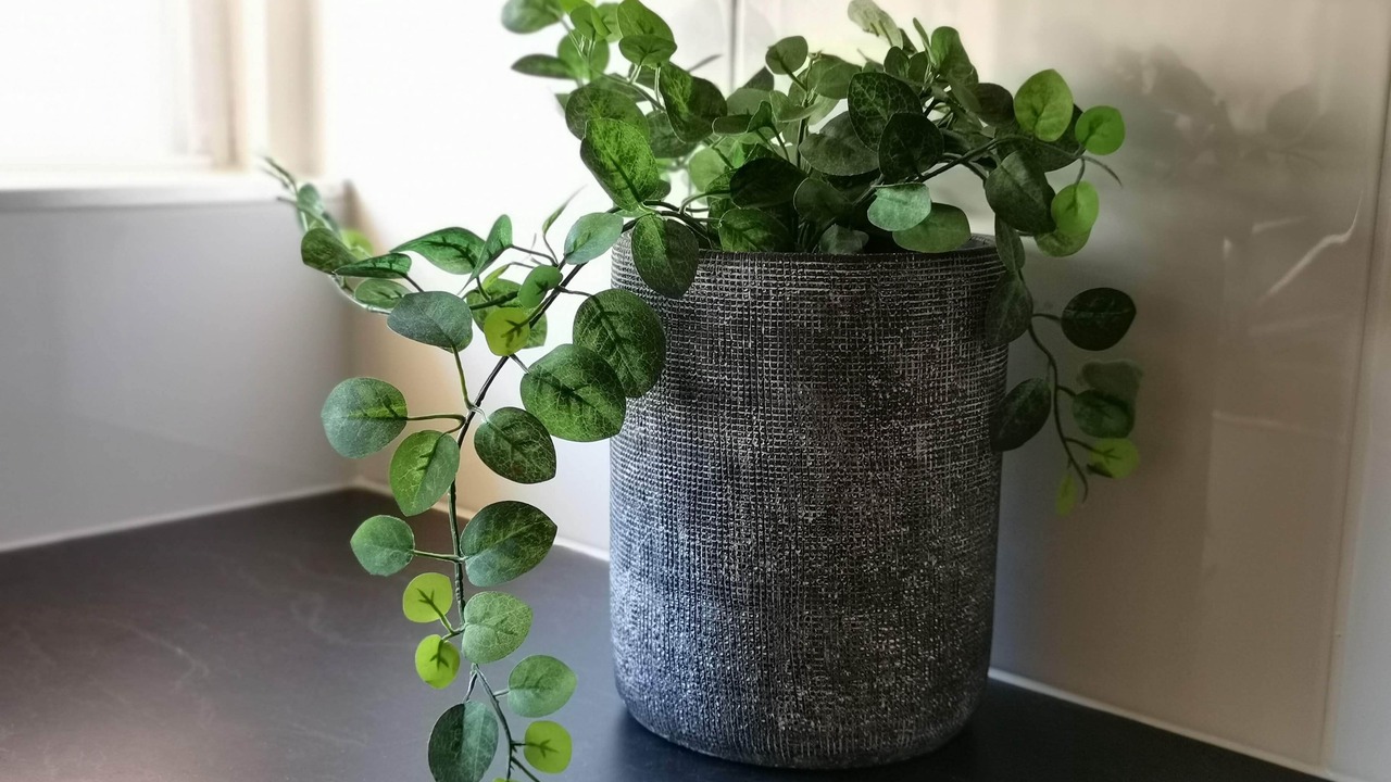 Photo of Kitchen in North Ward