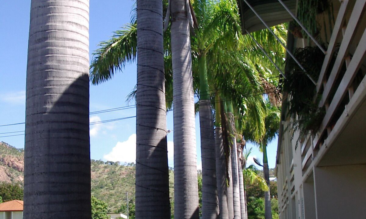 Photo of Outdoor in North Ward