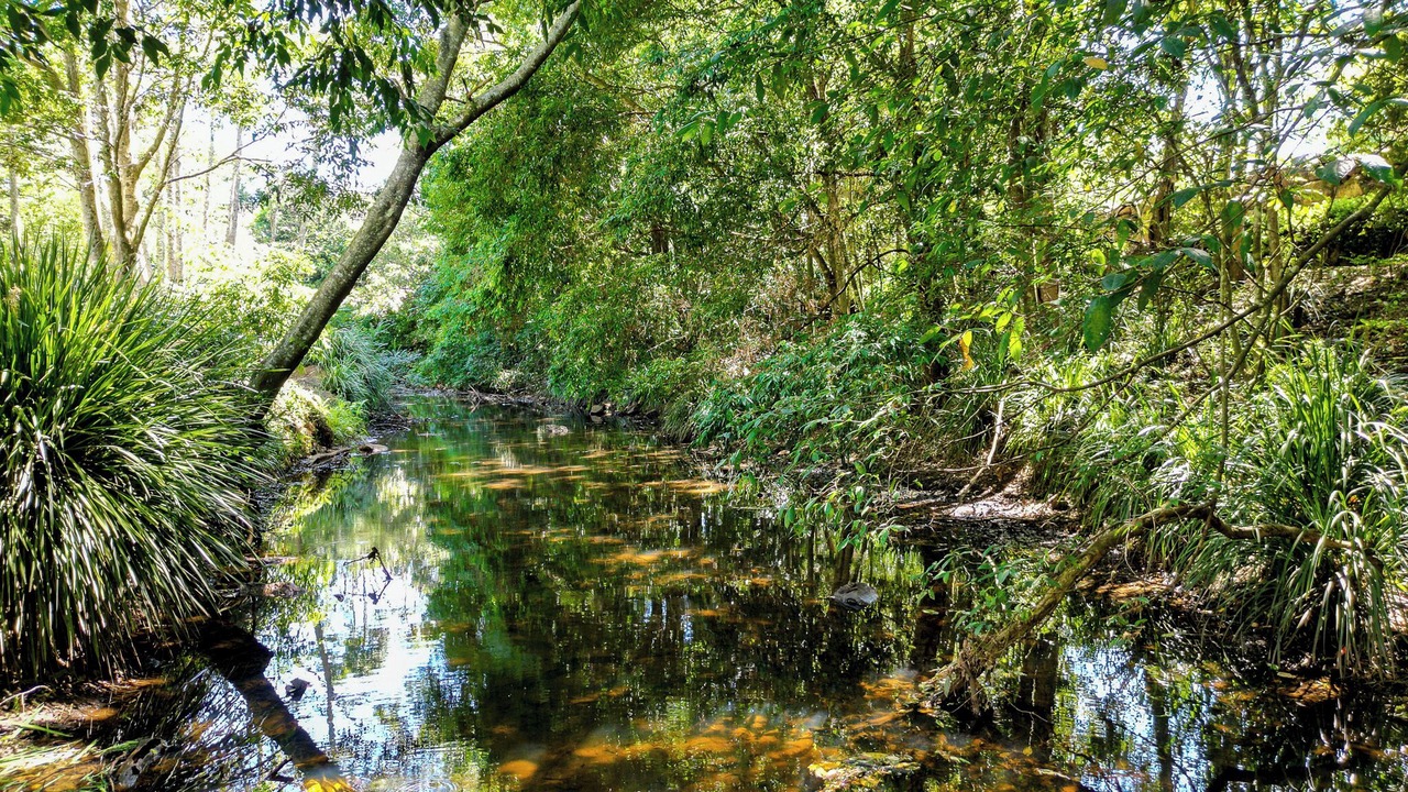 Photo of Outdoor in Maleny