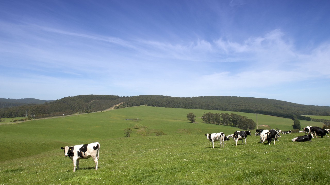 Photo of Others in Johanna